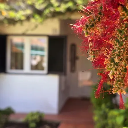 Aldeamento Dos Beijinhos 포르체스