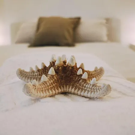 Aldeamento Dos Beijinhos Daire