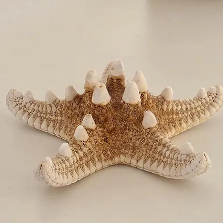 Aldeamento Dos Beijinhos Daire *