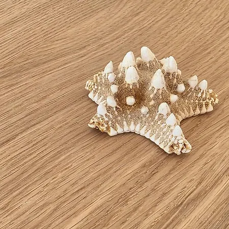 Aldeamento Dos Beijinhos