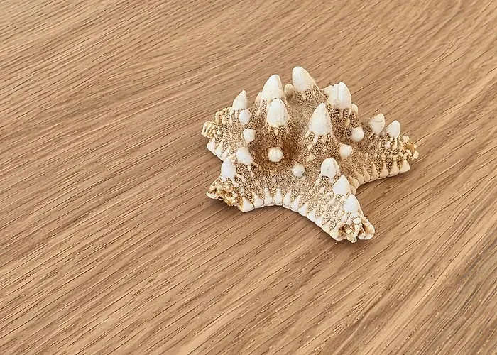 Aldeamento Dos Beijinhos